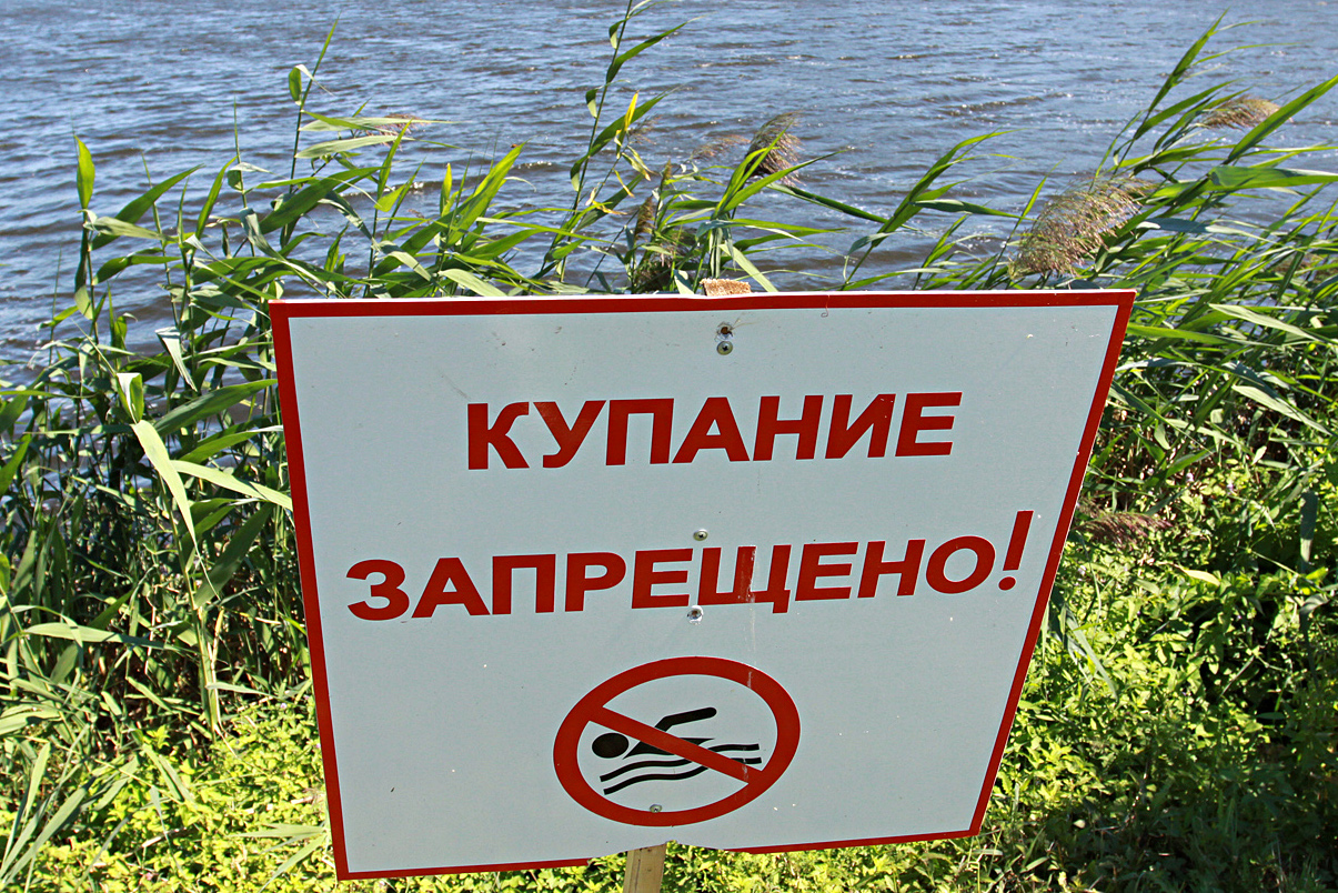 О запрете купания в местах, не предназначенных для купания на территории  МО «Михайловский сельсовет» Рыльского района Курской области.